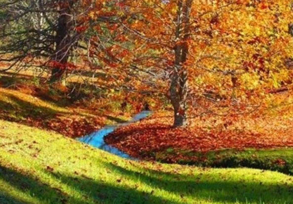 Os jardins no outono