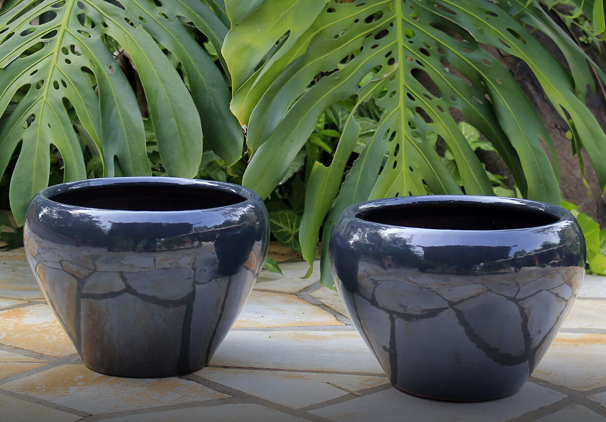 Fornecimento de Plantas, Vasos e insumos